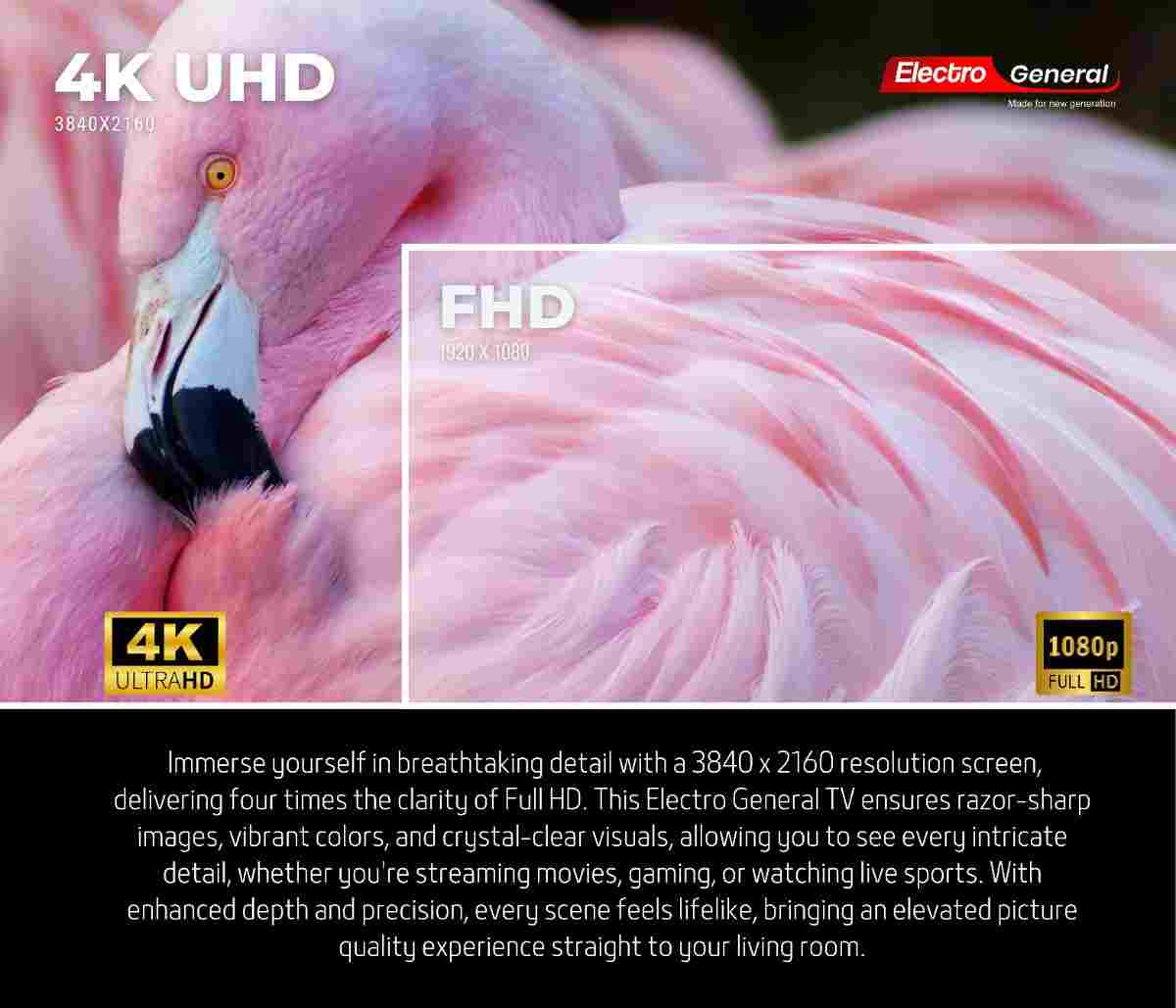 Electro General 75" WebOS TV TH-75WBS20 – 4K UHD, ThinQ AI, Magic Remote, DVB-T/T2/S2 - Image 13